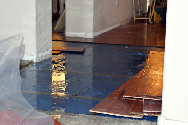 Professional Basement Water Removal technician working in Rye, NH